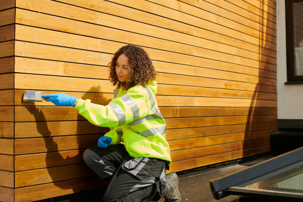 Affordable Siding Repair and Maintenance Services in Waipahu, HI